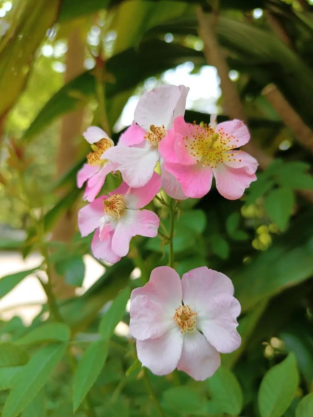 5413bf9a067547baa99c441cab787177.jpg 5413bf9a067547baa99c441cab787177.jpg