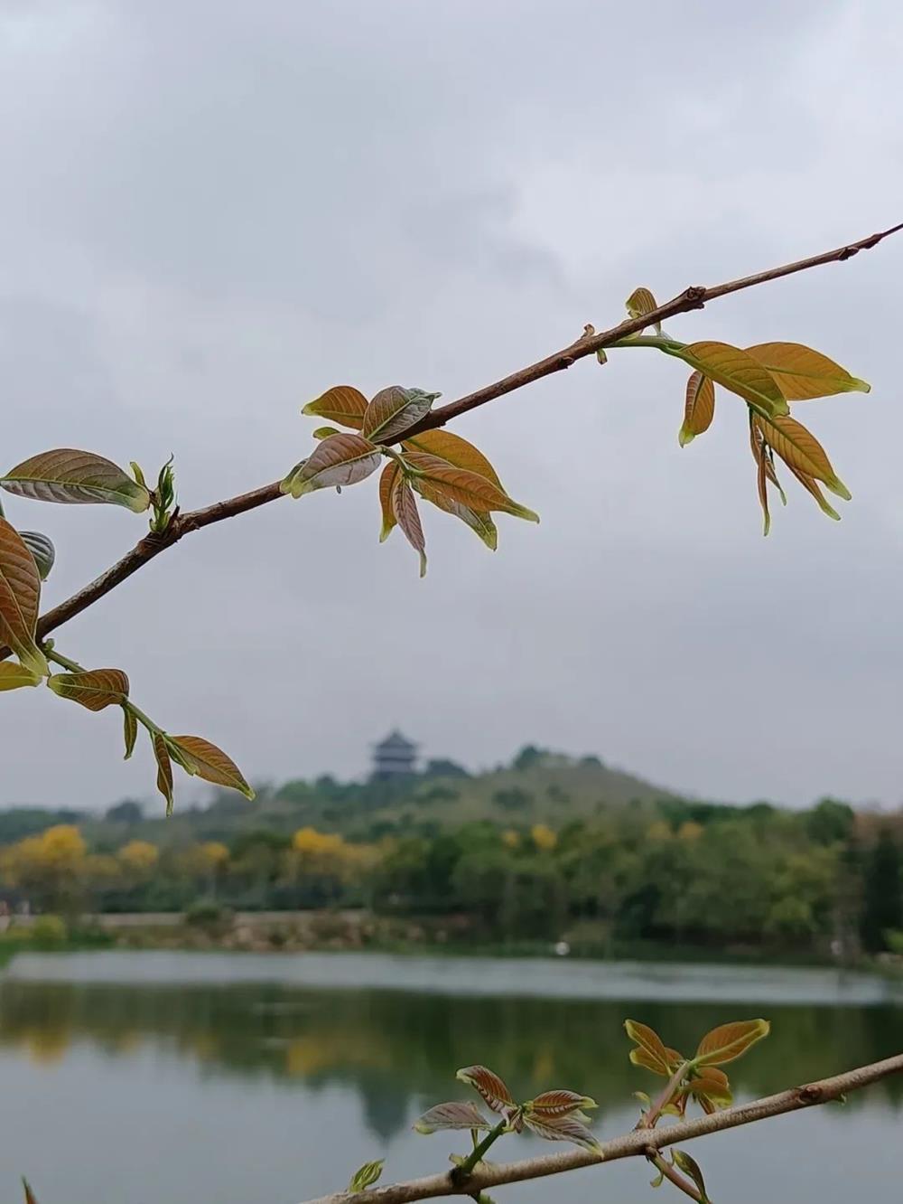 ee871dc647af40c2b6005bef64d7583c.jpg ee871dc647af40c2b6005bef64d7583c.jpg